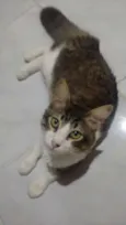 Guguinha