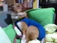 Spin