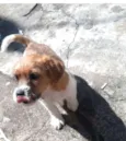 Billy