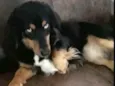 Bartho e Lilica
