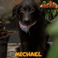 MICHAEL