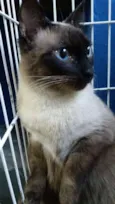 Miguel