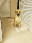 Bob