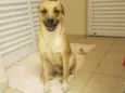 Bob