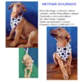 NEYMAR DOURADO