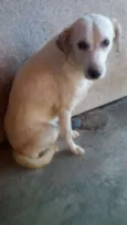 Branquinho