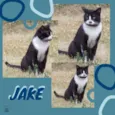Jake