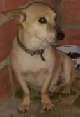 Fred