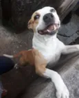 Pit