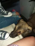 Spike