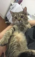Mimi 