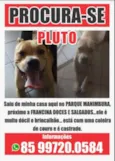 PLUTO