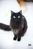 Esther