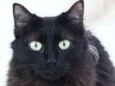 Esther