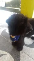 Não tem nome