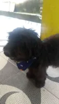 Não tem nome
