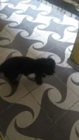 Não tem nome
