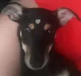 Nina