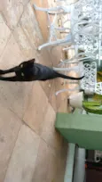 Tom 