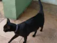Tom 