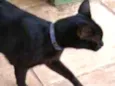 Tom 