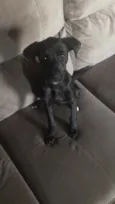 Nina
