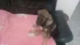 Rita