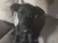 Nina
