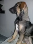 Rita