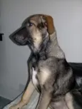 Rita