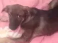 Rita