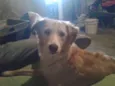 Fiona