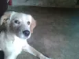 Fiona