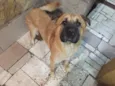 Bebê 