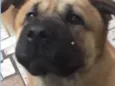 Bebê 