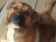 Mel