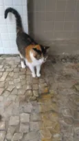 Lili