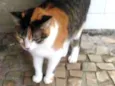 Lili