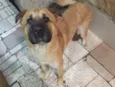 Bebê