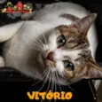VITÓRIO 