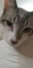 Nick