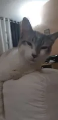 Nick