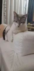Nick