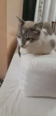 Nick