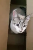 Nick