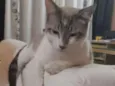 Nick