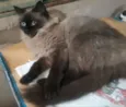 Nina 