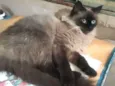 Nina 