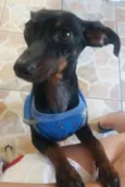 Joe
