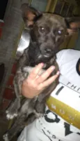 Bolinha